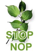 STOP NOP